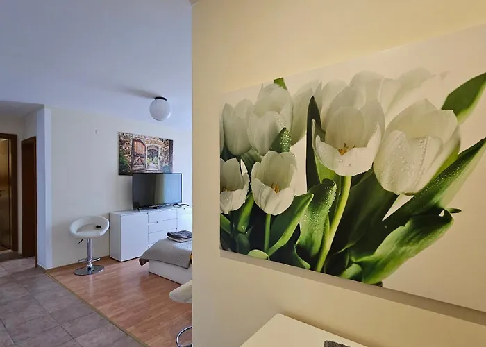 Διαμέρισμα 2 *